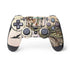 Where The Wind Takes You by Amy Brown PlayStation PS4 Skins